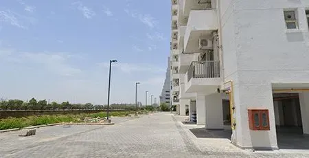 Palm Studios